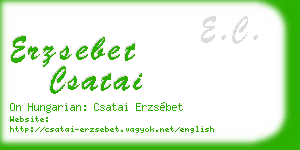 erzsebet csatai business card